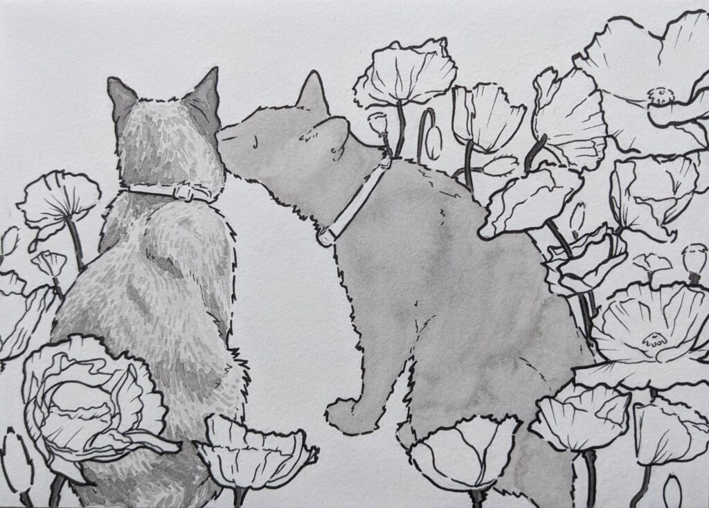 framed drawing of two cats nose to nose in ink surrounded by white flowers