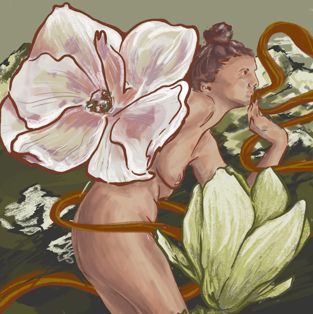 Magnolia